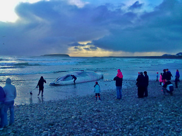 Keel Beach - County Mayo