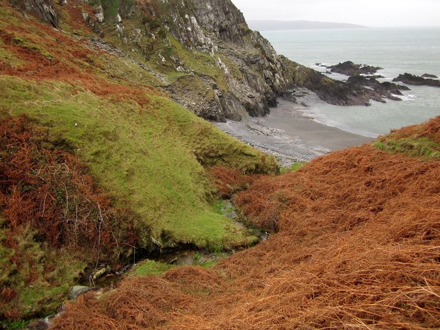 Pwll Gwylog Beach - Pembrokeshire