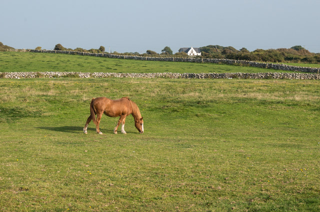 Traught Beach - County Galway