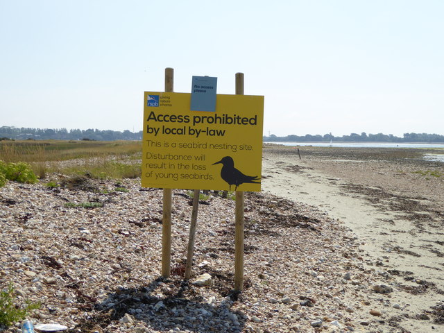 Thorney Island Beach - West Sussex