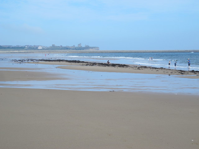 Herd Sand (2) Photo | UK Beach Guide