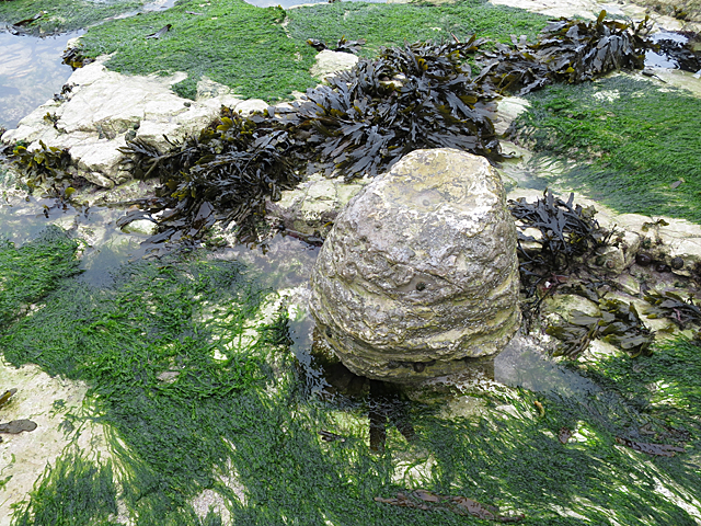 Selwicks Bay - Yorkshire