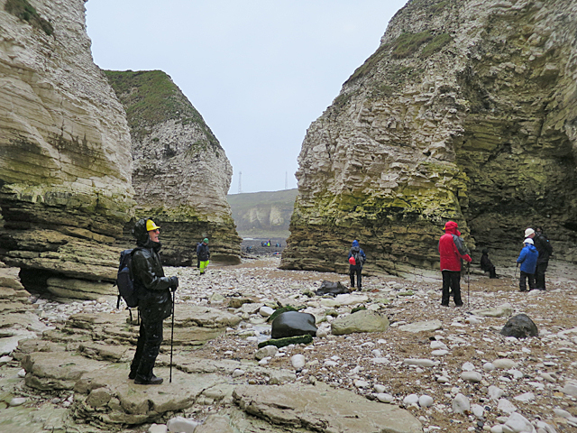 Selwicks Bay - Yorkshire