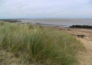 Irlam's Beach