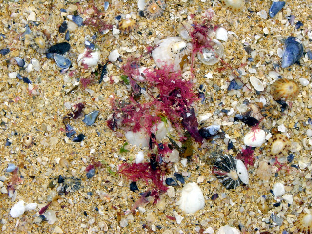 Borve Beach - Hebrides