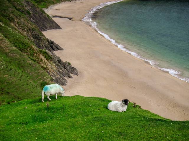 Silver Strand Beach - County Donegal