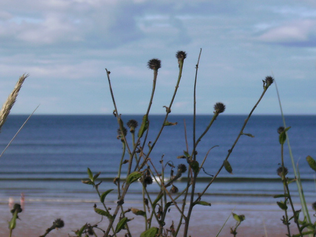 Lossiemouth East Beach - Grampian