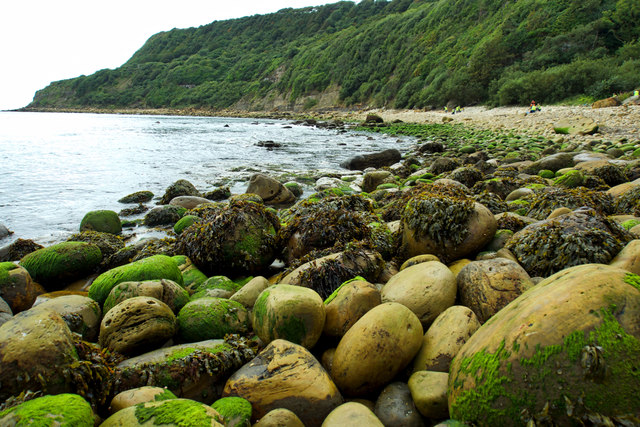 Hayburn Wyke Beach - Yorkshire