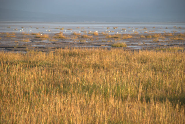 Bardsea Beach - Cumbria