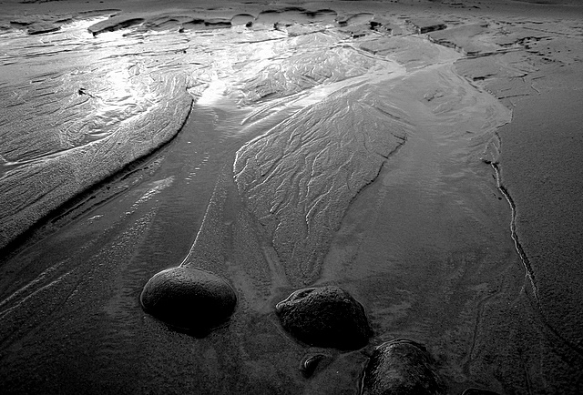 Newburgh Beach - Grampian