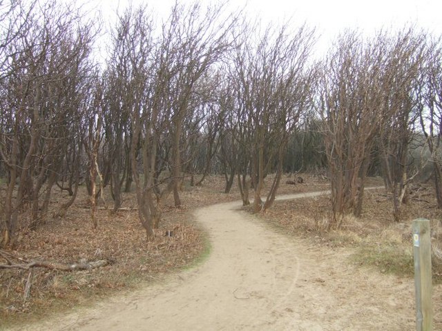 Victoria Road Beach (Formby) - Merseyside