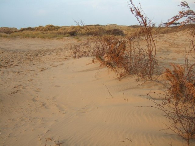 Victoria Road Beach (Formby) - Merseyside