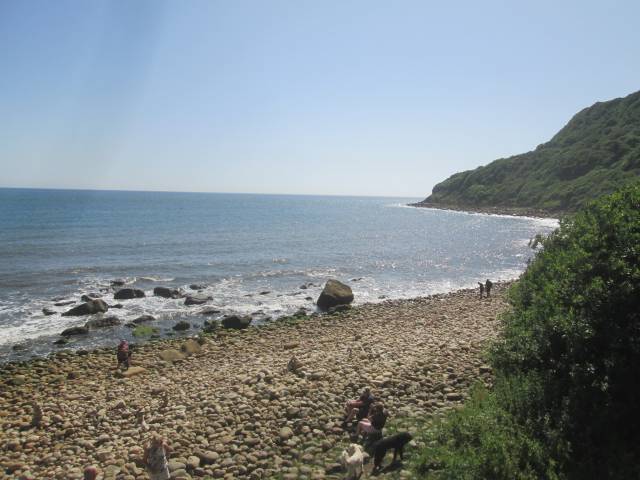 Hayburn Wyke Beach - Yorkshire