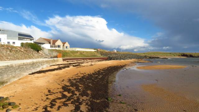 Wood Haven, Elie Photo | UK Beach Guide