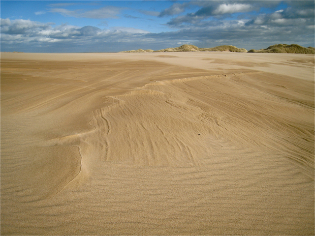 Newburgh Beach - Grampian