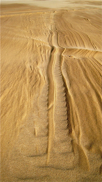 Newburgh Beach - Grampian