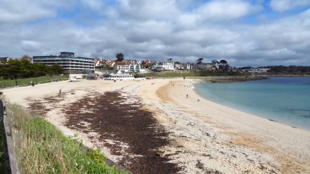 Swanpool Beach - Cornwall