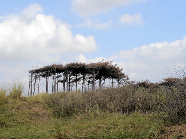 Victoria Road Beach (Formby) - Merseyside