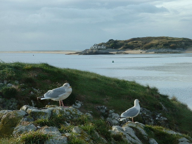 Carreg Wen Beach - Gwynedd