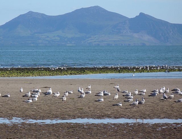 Llanddwyn Beach - Anglesey