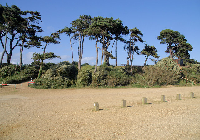 Pines, Lepe Country Park