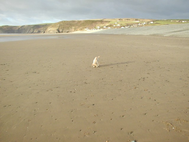 Newgale Sands Beach - Pembrokeshire