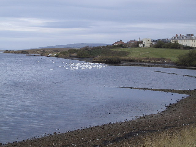 Gore Cove - Dorset