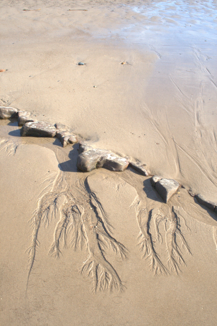 Amble Links Beach - Northumberland