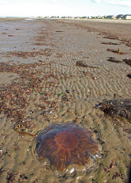 Barassie Beach - Strathclyde